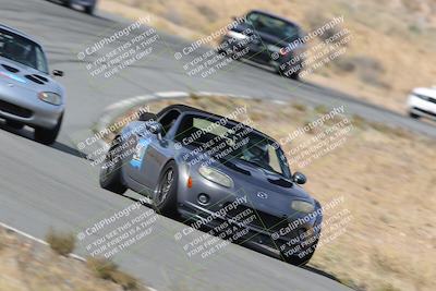 media/Nov-18-2023-Extreme Speed (Sat) [[10c227f63a]]/2-Green/turn 14/